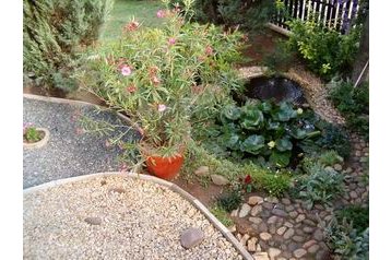 Alojamiento en casa particular Trávnica 5